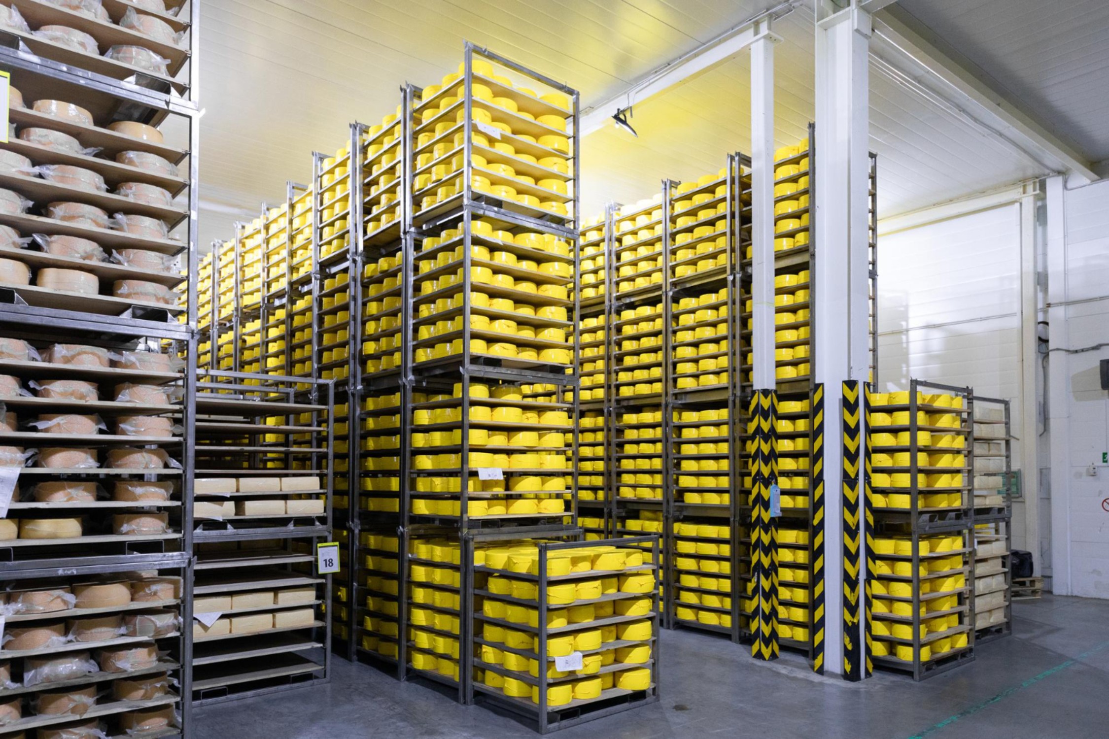 How Can an AI Digital Marketing Software Be a Powerful Catalyst for UAE Cold Storage Growth in 2026?