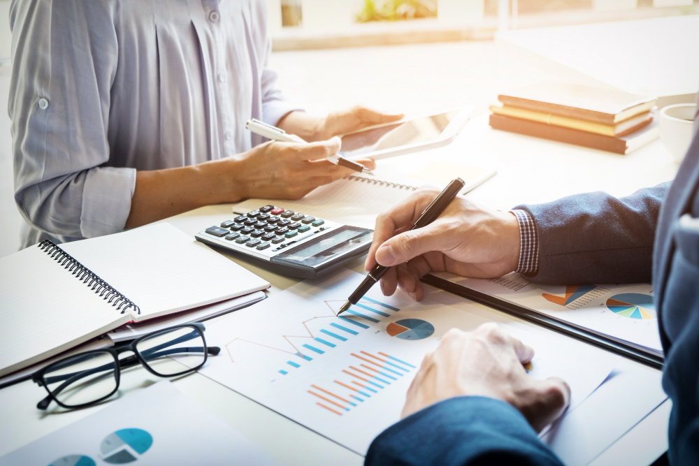 Why Audit Scrutiny & Ledger Scrutiny Are Done Seamlessly with a Virtual CFO