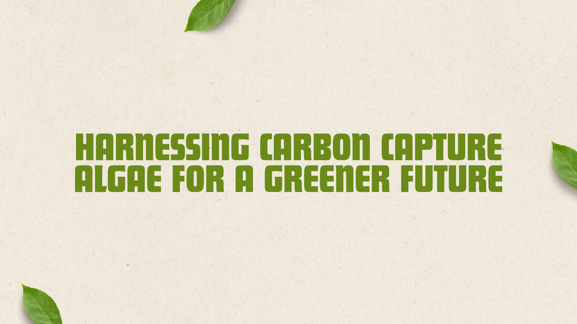 Harnessing Carbon Capture Algae for a Greener Future