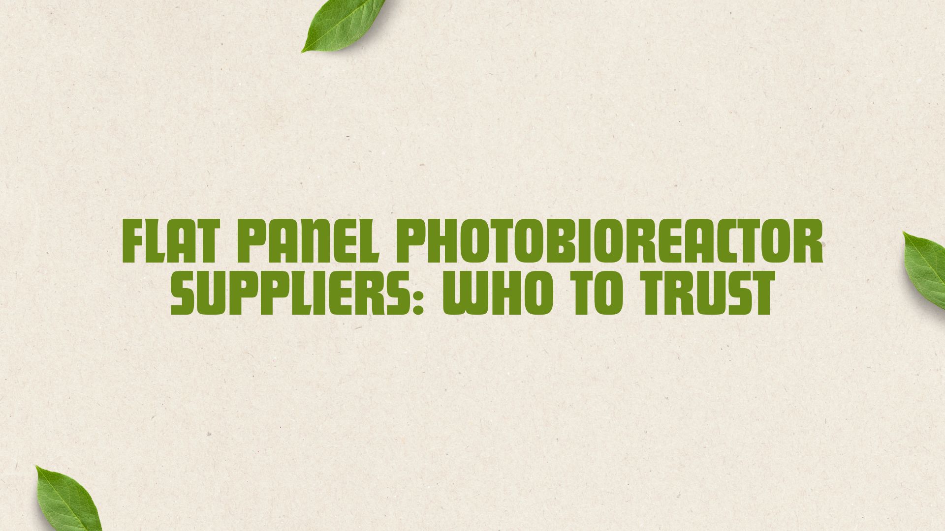 Flat Panel Photobioreactor Suppliers: Who to Trust