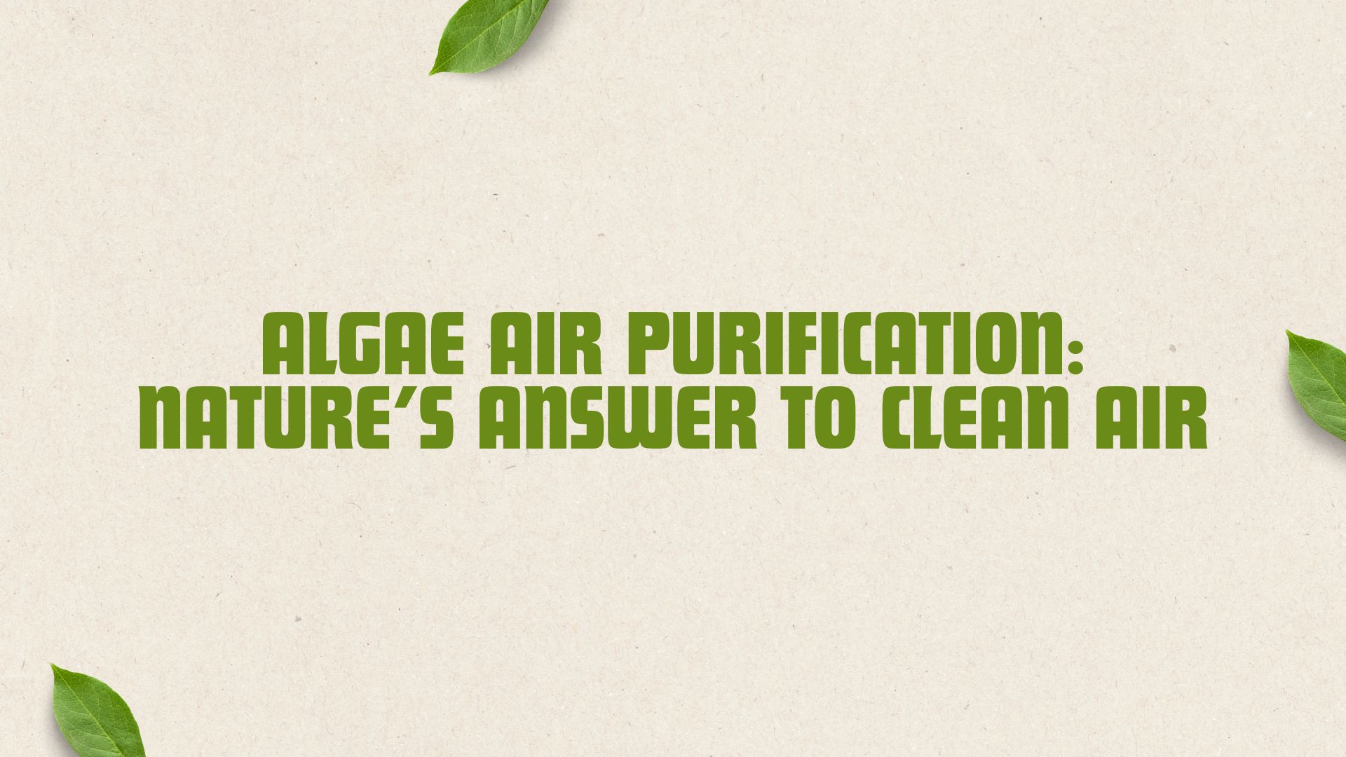 Algae Air Purification: Nature’s Answer to Clean Air